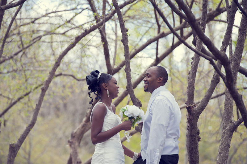 African Wedding Pictures