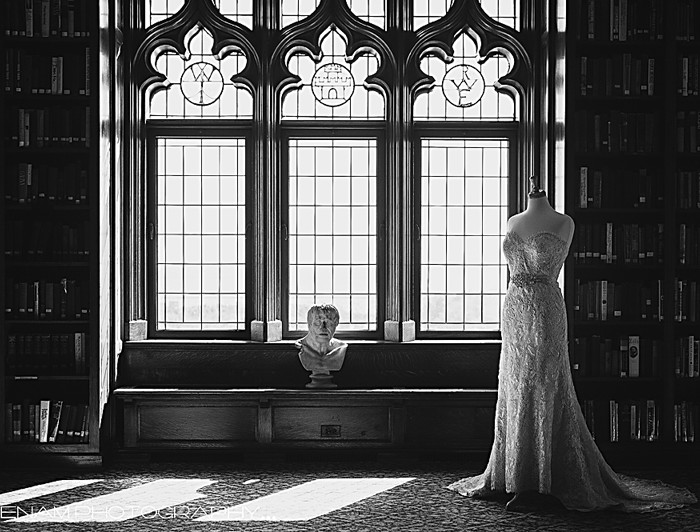 University Club of Chicago Wedding: Dress Preview